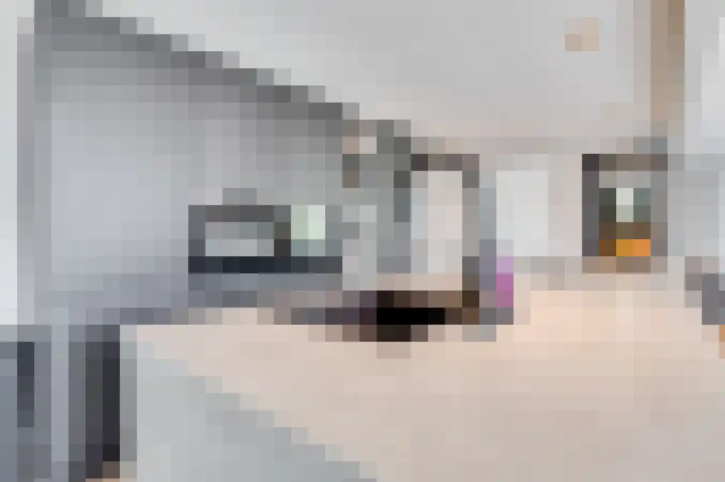 Raadhuisstraat 43 Oudorp thumbnail 8