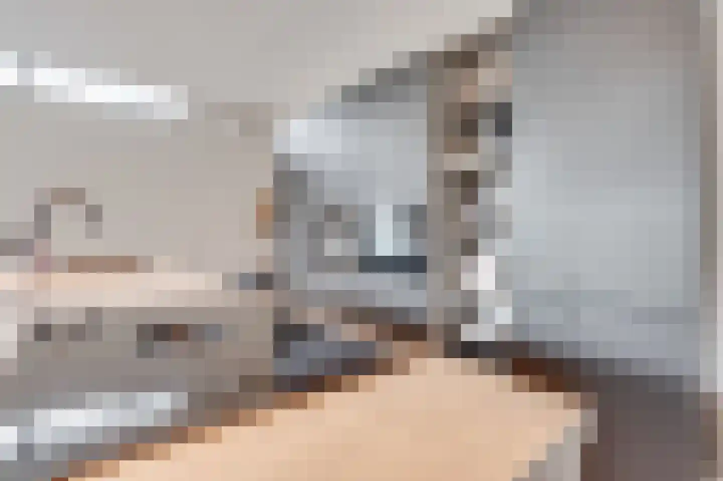 Raadhuisstraat 43 Oudorp thumbnail 9