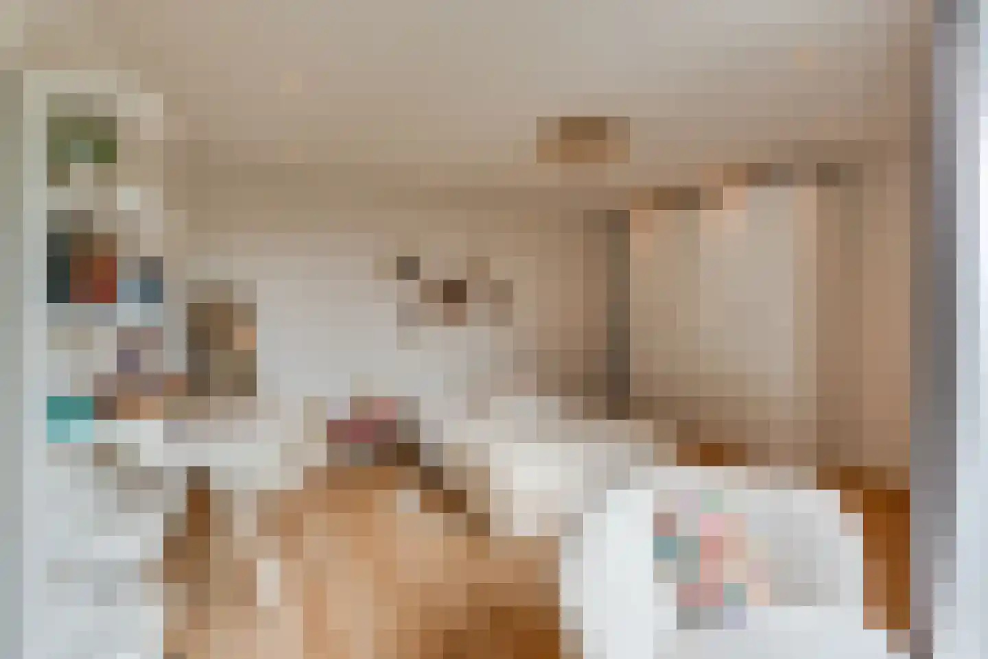 Raadhuisstraat 43 Veenendaal thumbnail 21