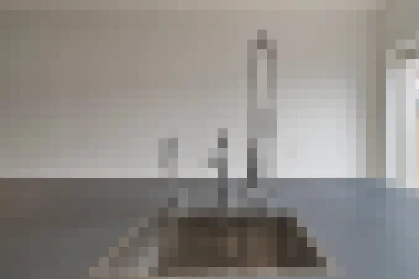 Raadhuisstraat 44 A Koog aan de Zaan thumbnail 15