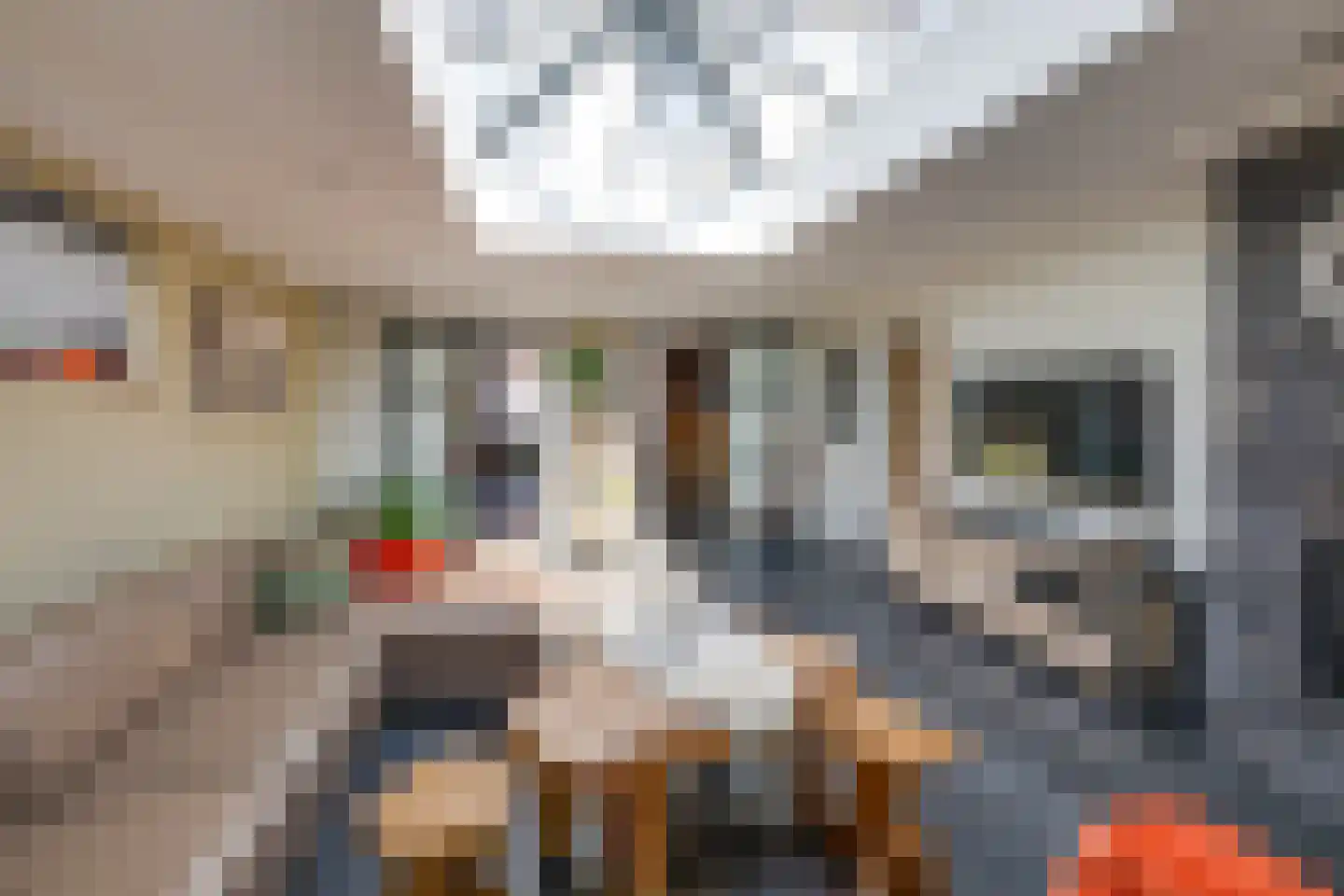 Raadhuisstraat 44 A Rucphen thumbnail 19