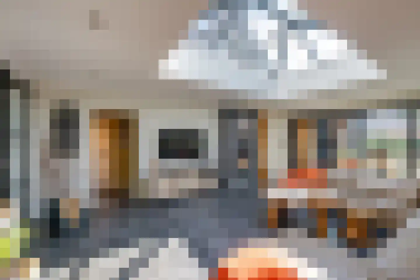 Raadhuisstraat 44 A Rucphen thumbnail 20