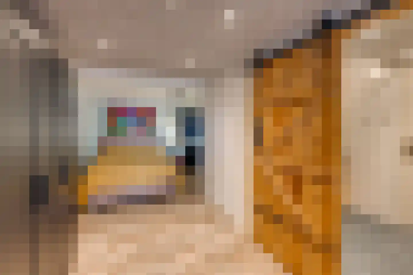 Raadhuisstraat 44 A Rucphen thumbnail 26