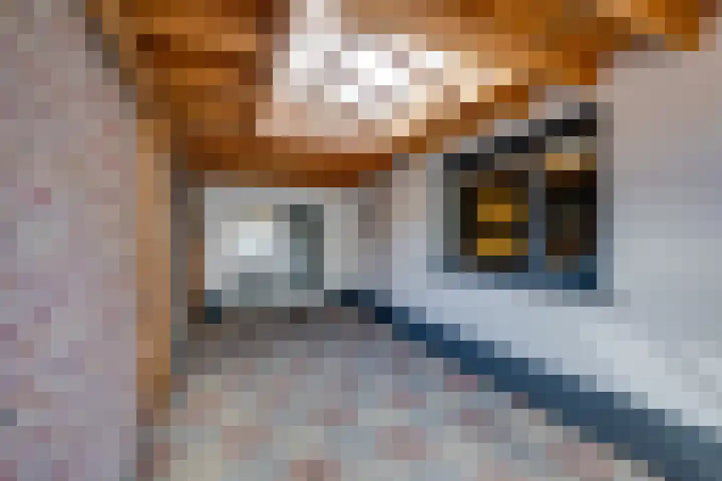 Raadhuisstraat 44 A Rucphen thumbnail 4