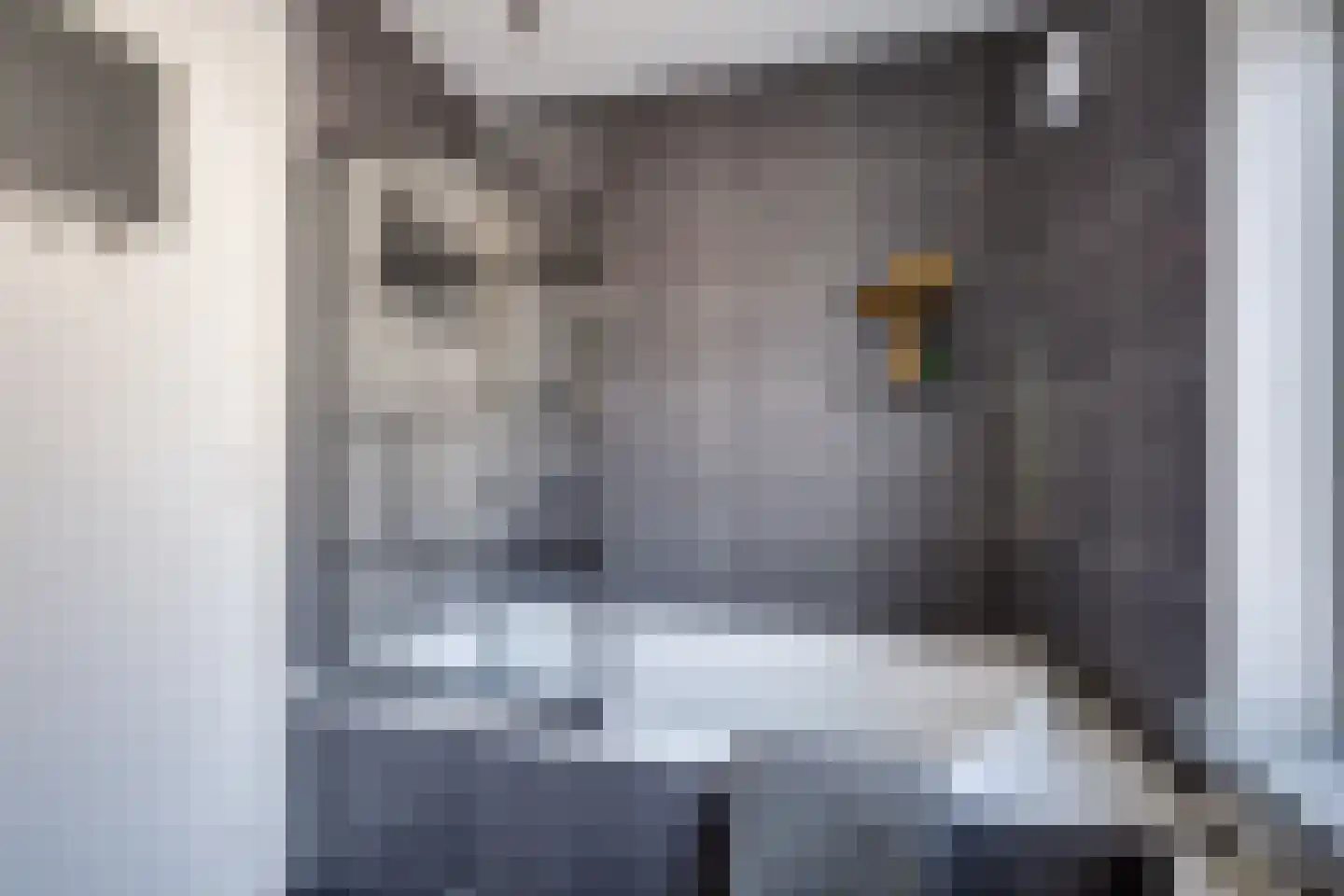 Raadhuisstraat 44 A Rucphen thumbnail 40