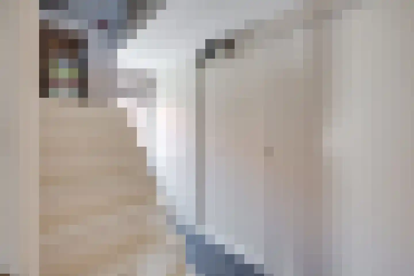 Raadhuisstraat 44 A Rucphen thumbnail 42