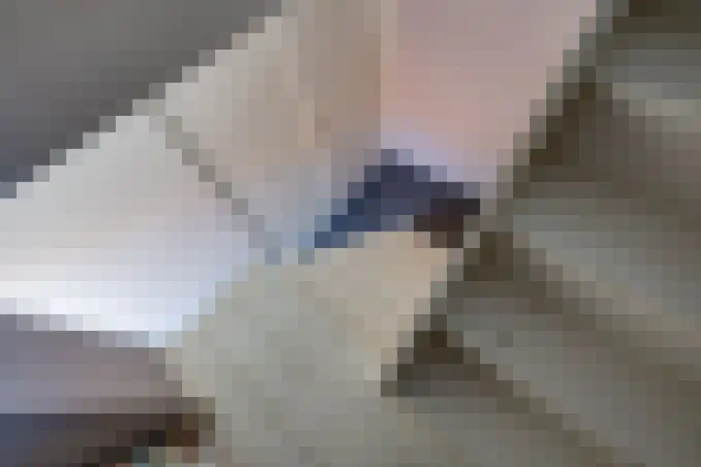 Raadhuisstraat 44 A Rucphen thumbnail 43