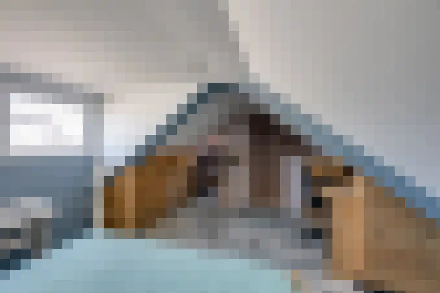 Raadhuisstraat 44 A Rucphen thumbnail 45