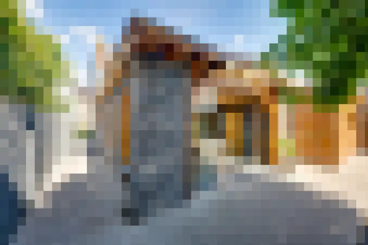 Raadhuisstraat 44 A Rucphen thumbnail 50