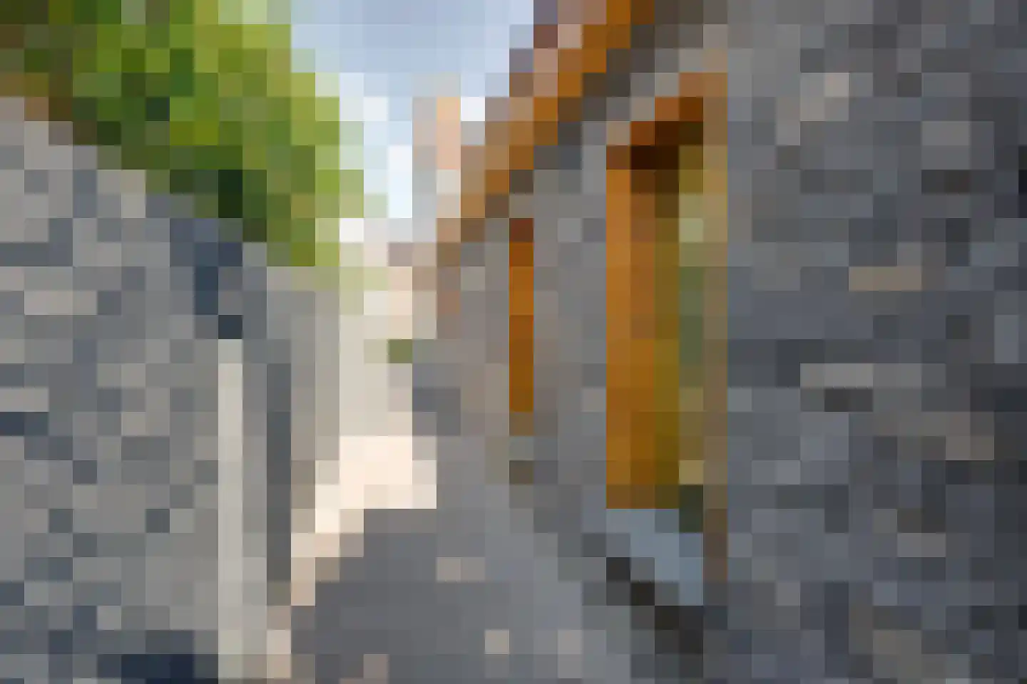 Raadhuisstraat 44 A Rucphen thumbnail 57