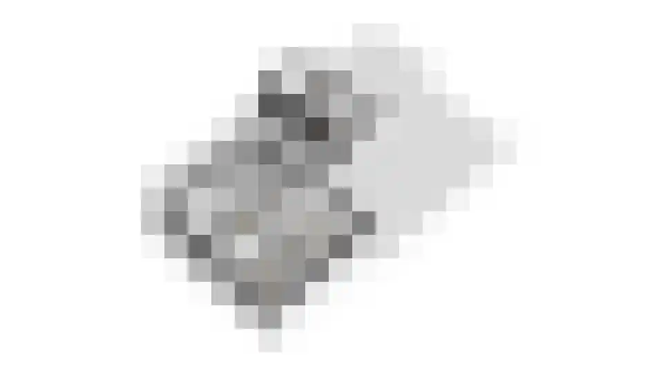 Raadhuisstraat 44 A Rucphen thumbnail 66