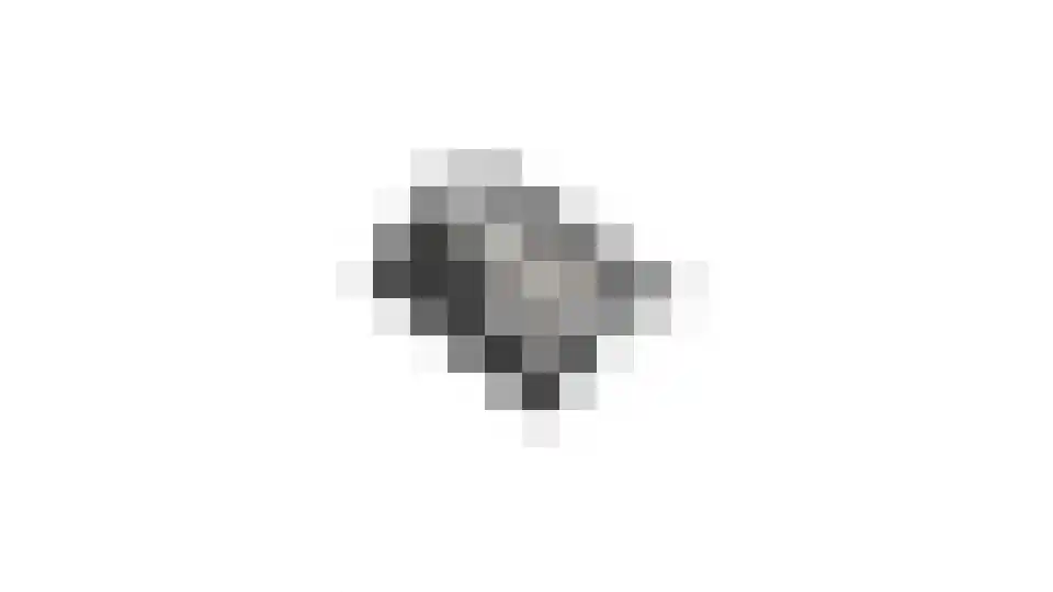 Raadhuisstraat 44 A Rucphen thumbnail 69