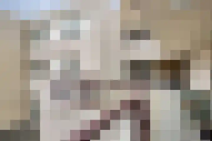 Raadhuisstraat 44 Best thumbnail 22