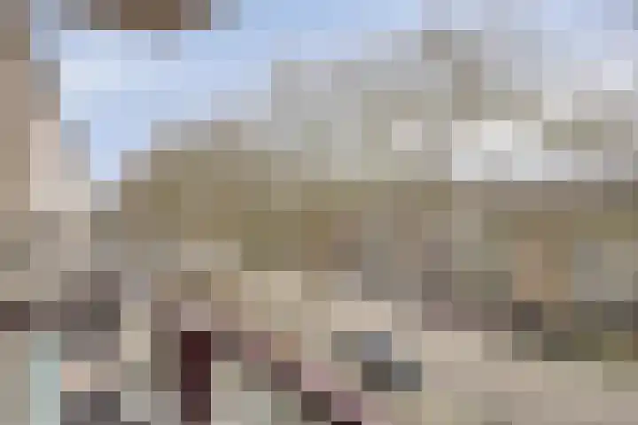 Raadhuisstraat 44 Best thumbnail 23