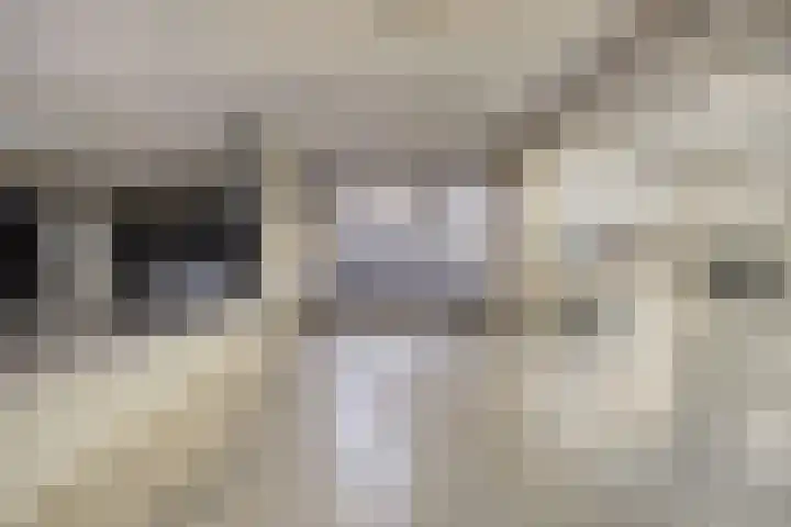 Raadhuisstraat 44 Best thumbnail 26