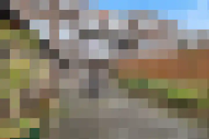 Raadhuisstraat 44 Best thumbnail 30