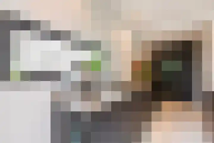 Raadhuisstraat 44 Waalre thumbnail 10