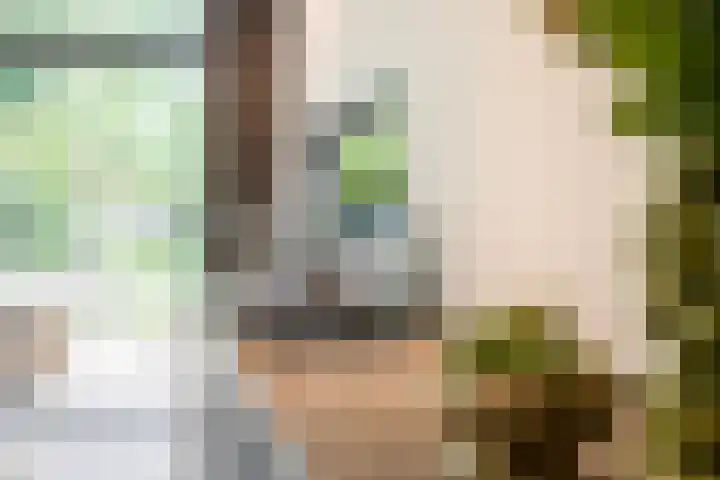 Raadhuisstraat 44 Waalre thumbnail 11