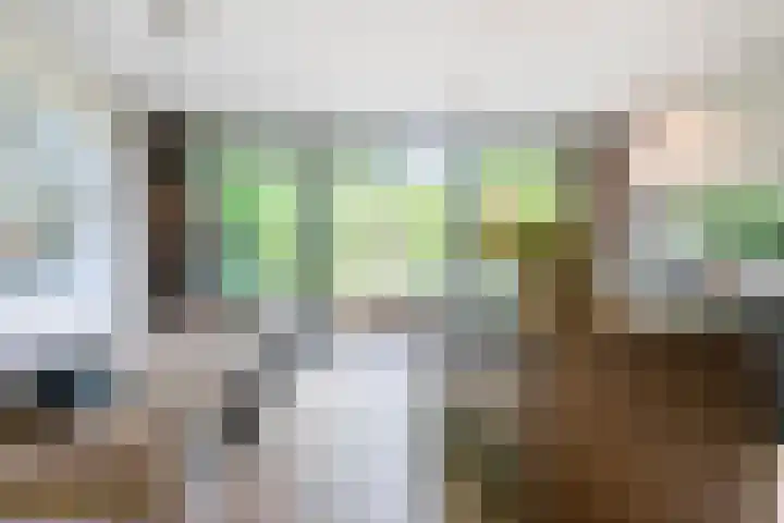 Raadhuisstraat 44 Waalre thumbnail 12