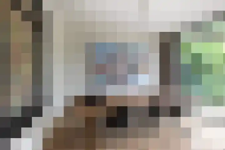 Raadhuisstraat 44 Waalre thumbnail 15