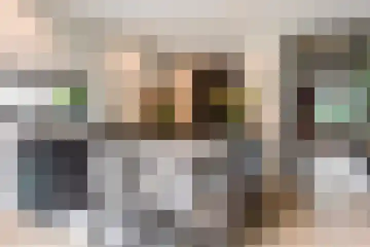 Raadhuisstraat 44 Waalre thumbnail 18