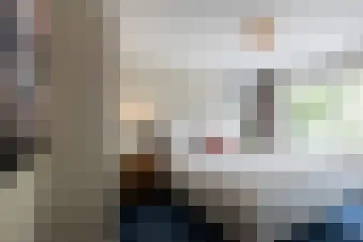 Raadhuisstraat 44 Waalre thumbnail 21