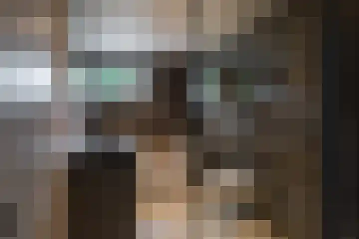 Raadhuisstraat 44 Waalre thumbnail 26