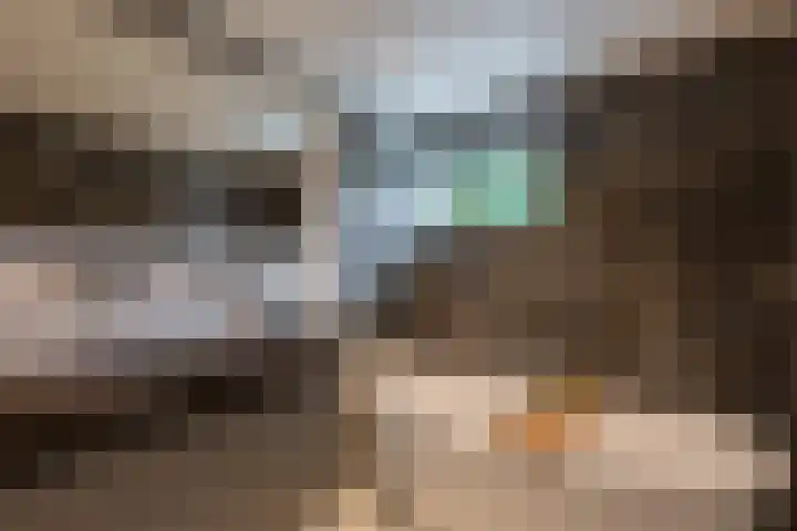 Raadhuisstraat 44 Waalre thumbnail 27