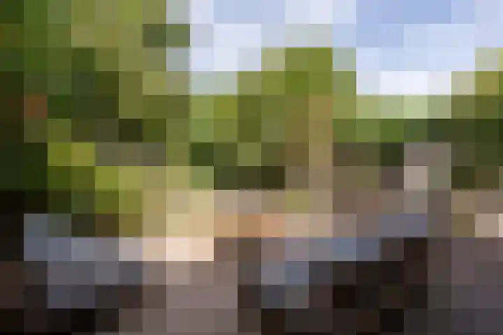 Raadhuisstraat 44 Waalre thumbnail 36