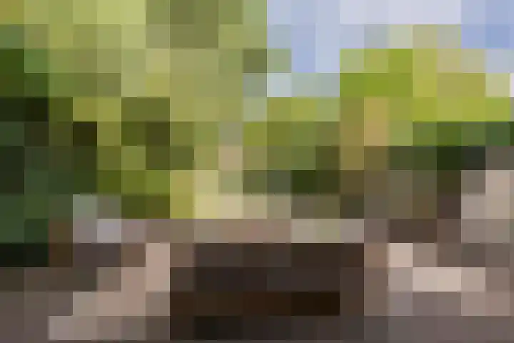 Raadhuisstraat 44 Waalre thumbnail 37