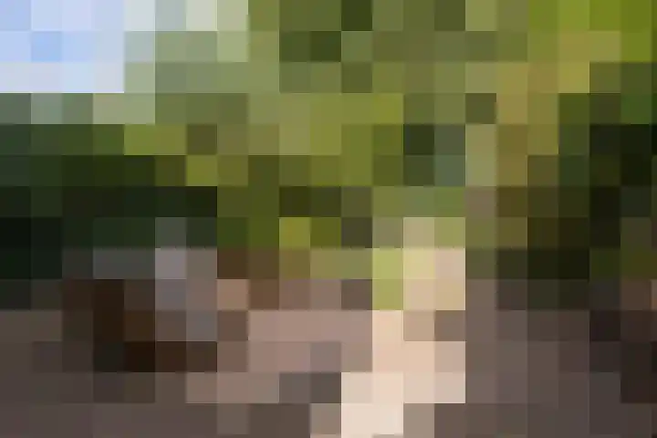 Raadhuisstraat 44 Waalre thumbnail 38