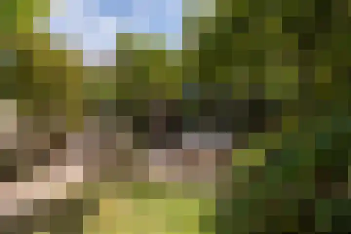 Raadhuisstraat 44 Waalre thumbnail 39