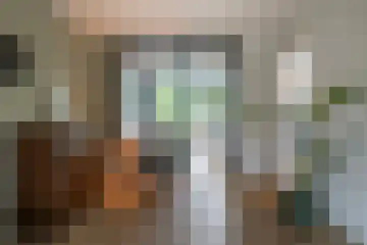 Raadhuisstraat 44 Waalre thumbnail 4