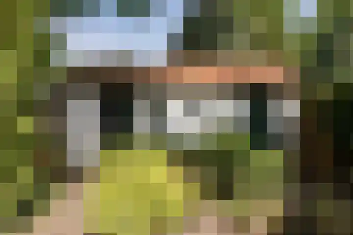Raadhuisstraat 44 Waalre thumbnail 41