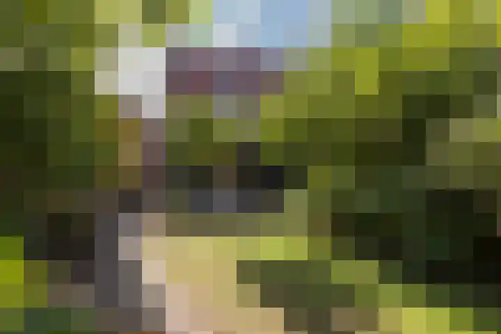 Raadhuisstraat 44 Waalre thumbnail 42