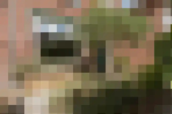 Raadhuisstraat 44 Waalre thumbnail 46