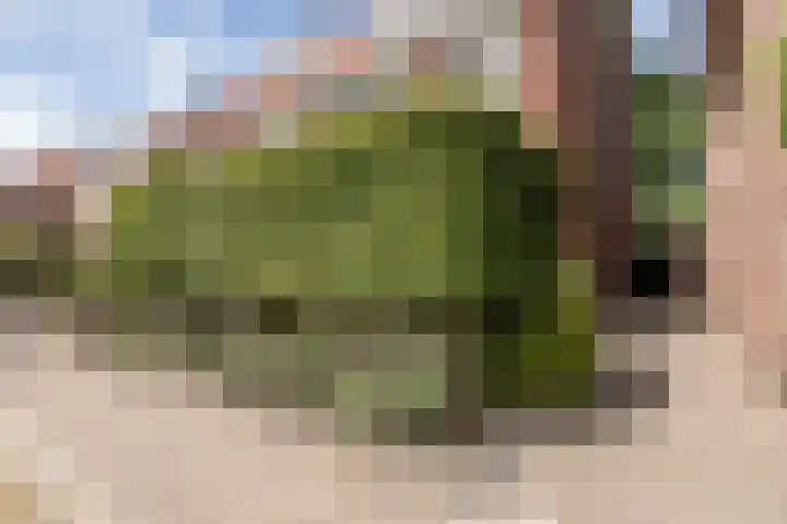 Raadhuisstraat 44 Waalre thumbnail 47