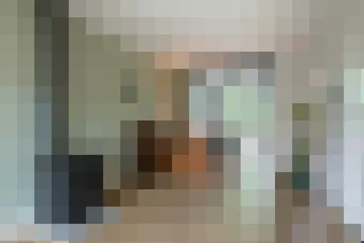 Raadhuisstraat 44 Waalre thumbnail 5