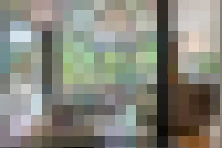 Raadhuisstraat 44 Waalre thumbnail 7