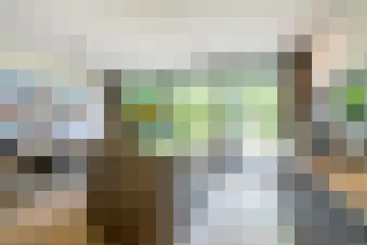 Raadhuisstraat 44 Waalre thumbnail 8
