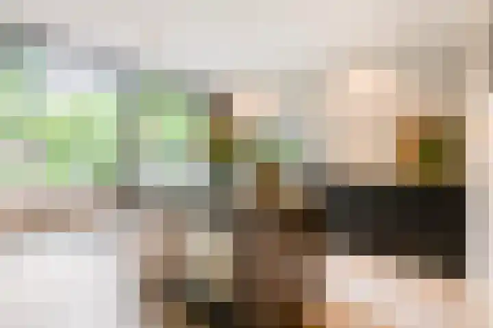 Raadhuisstraat 44 Waalre thumbnail 9