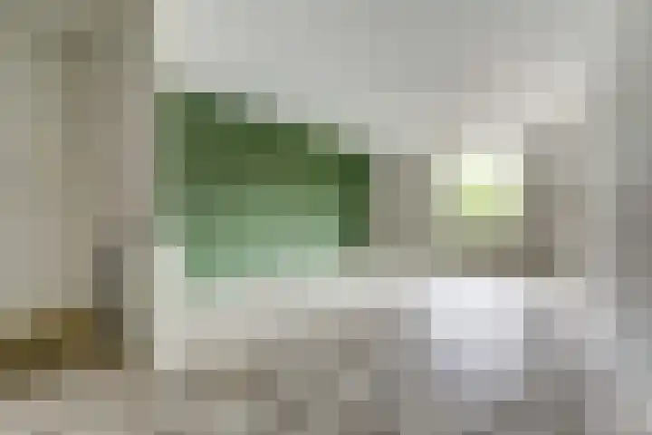 Raadhuisstraat 45 Druten thumbnail 14