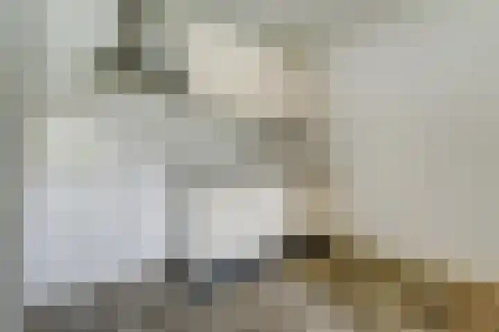 Raadhuisstraat 45 Druten thumbnail 15