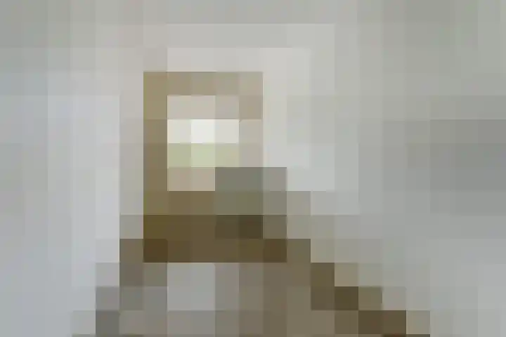 Raadhuisstraat 45 Druten thumbnail 22