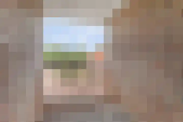 Raadhuisstraat 45 Druten thumbnail 23