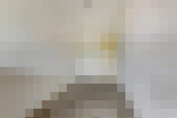 Raadhuisstraat 45 Druten thumbnail 25