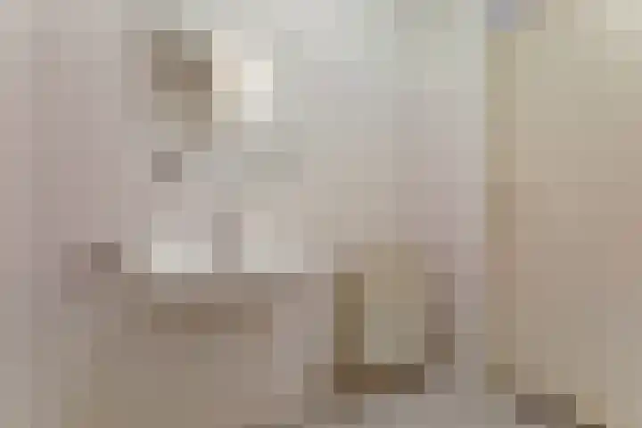 Raadhuisstraat 45 Druten thumbnail 26