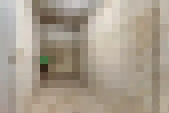 Raadhuisstraat 45 Druten thumbnail 31