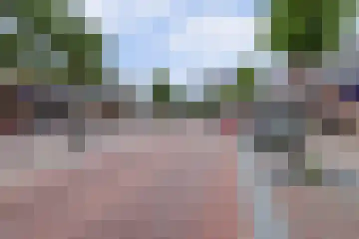 Raadhuisstraat 45 Druten thumbnail 4