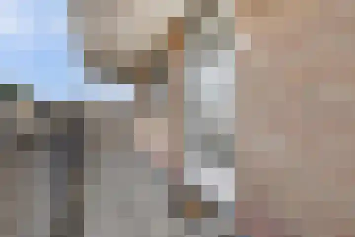 Raadhuisstraat 45 Druten thumbnail 9